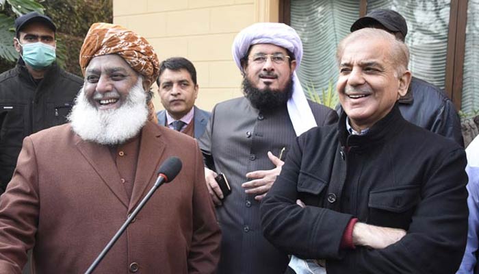 Rich result son google SERP when searching for 'Fazal- Shehbaz PDM'