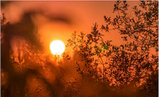 Rich result son google SERP when searching for 'Heat years'