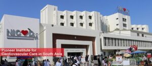 Rich result son google SERP when searching for 'NICVD'