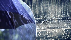 Rich result son google SERP when searching for 'hailstorm-rain'