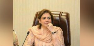 Rich result son google SERP when searching for 'Anila atta'