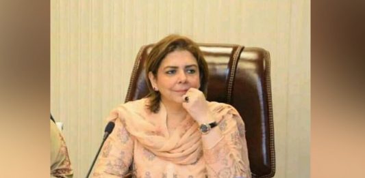 Rich result son google SERP when searching for 'Anila atta'