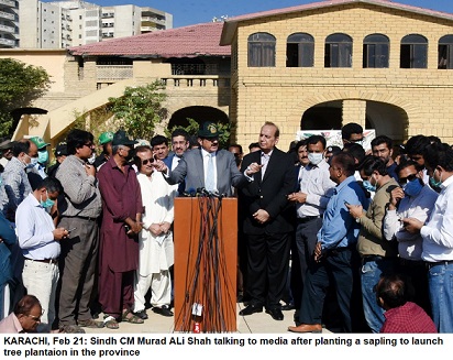 Rich result son google SERP when searching for 'Murad Ali shah tree plantation'