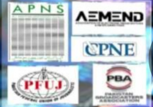 Rich result son google SERP when searching for 'PECA - media '