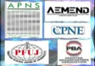 Rich result son google SERP when searching for 'PECA - media '