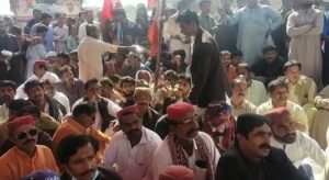 Rich result son google SERP when searching for 'Nawab Wali Muhammadp'