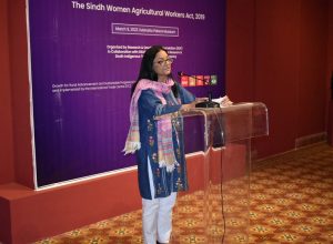 Rich result son google SERP when searching for 'Dialogue on law'