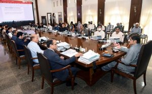 Rich result son google SERP when searching for 'Sindh cabinet'