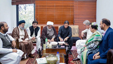 Rich results on google SERP when searching for ‘Wahdat-e-Muslimeen’