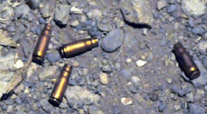 Rich results on google SERP when searching for ‘DI Khan’