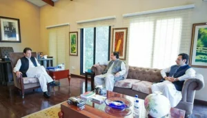 Imran - parvez elahi