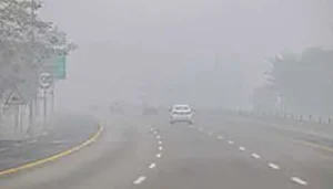 fog motorway