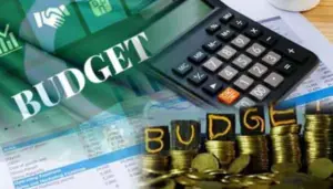 tax concessions in Budget