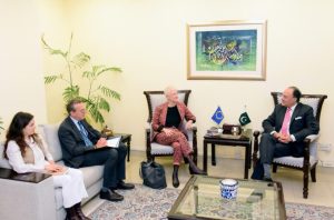 Rich results on google SERP when searching for 'EU Ambassador to Pakistan'