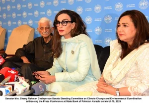 Green Taxonomy Policy