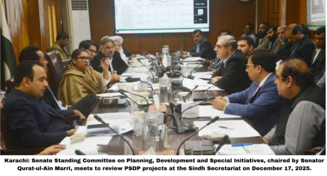 Thar coal railway senate committee